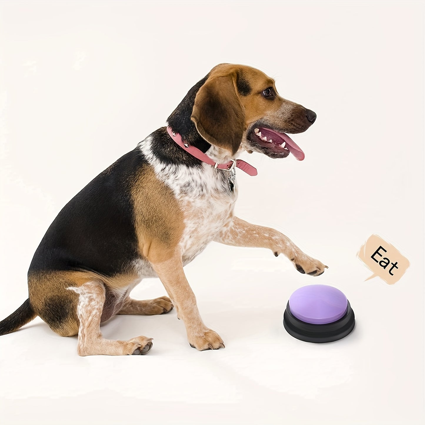 Pet Communication Button Dog Talking Interactive Training Sound Button, Recording Sound Maker, Squeeze Box, Christmas Set