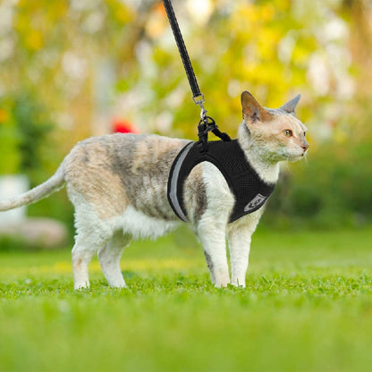 Breathable Cat Harness And Leash Set, Escape Proof Pet Clothes Kitten Puppy Dogs Vest Adjustable Easy Control Reflective Cat Harness