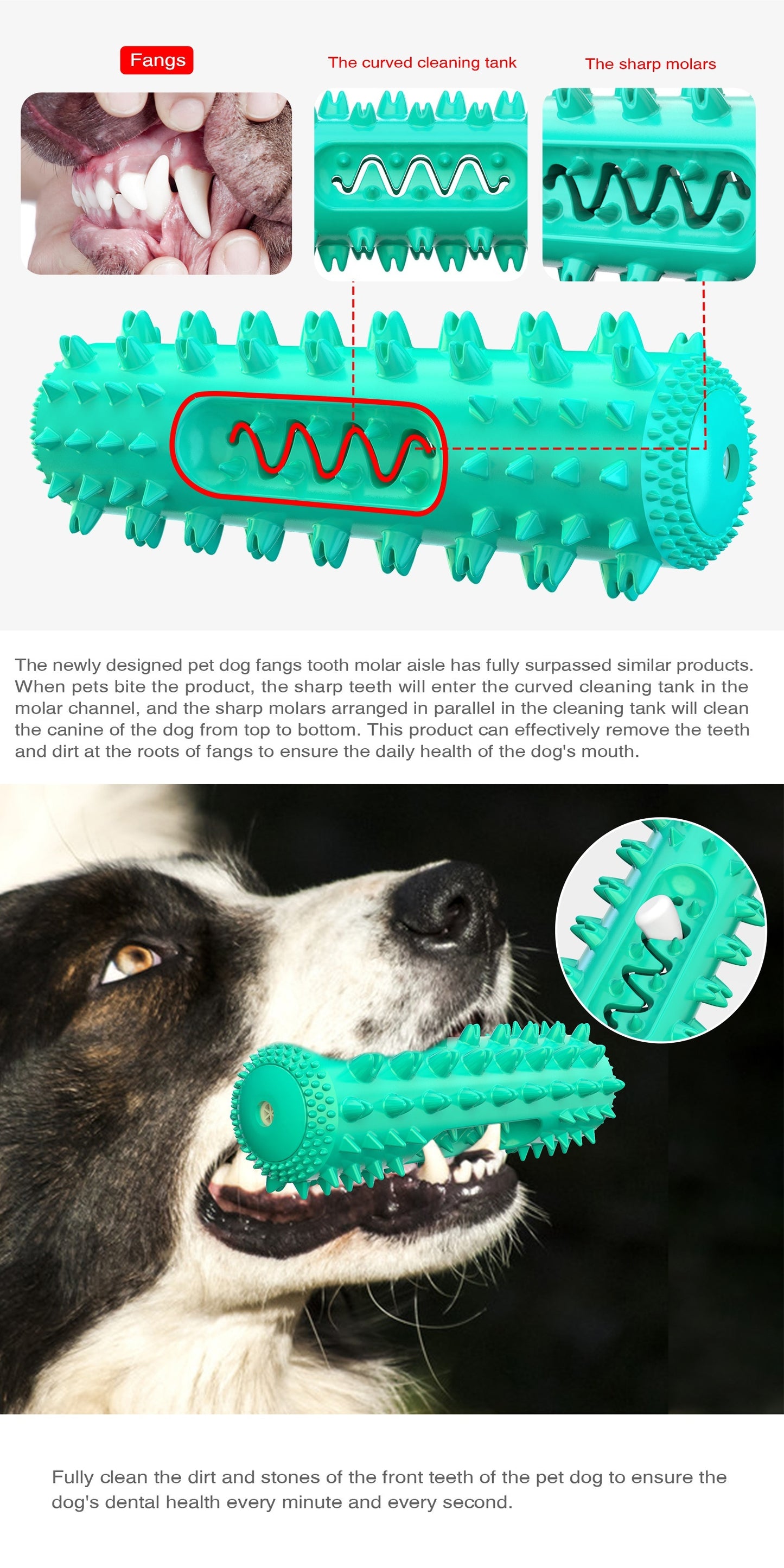 Durable Dog Toothbrush Pet Dog Molar Stick Dog Chew Teeth Cleaning Brush To Keep Dental Health