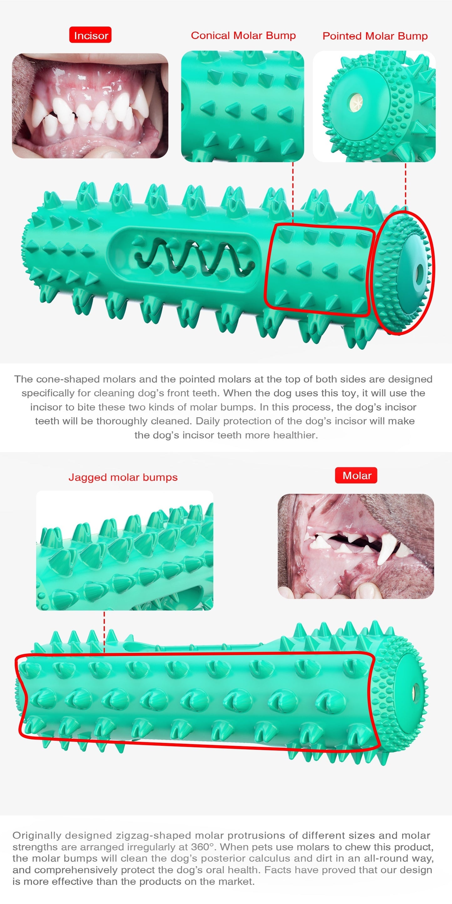 Durable Dog Toothbrush Pet Dog Molar Stick Dog Chew Teeth Cleaning Brush To Keep Dental Health
