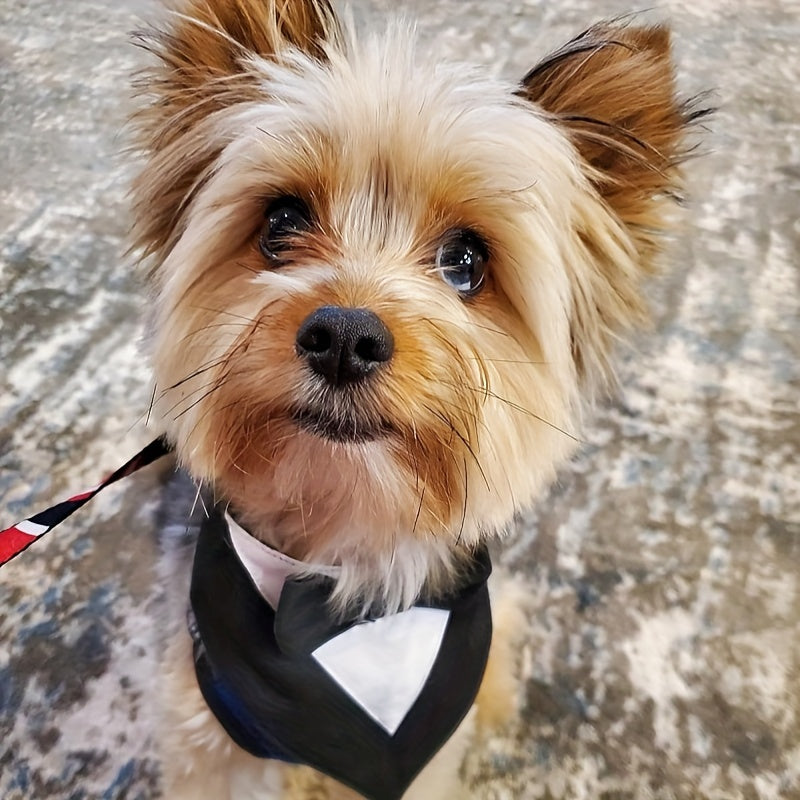 1pc of Drool Bib, Pet Suit Triangle Scarf with Bow Tie, Pet Collar, Dog Clothing, Dog Wedding Outfit Accessories