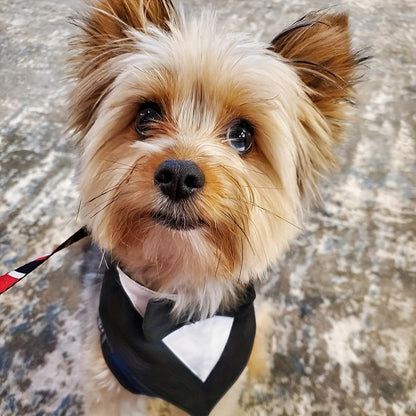 1pc of Drool Bib, Pet Suit Triangle Scarf with Bow Tie, Pet Collar, Dog Clothing, Dog Wedding Outfit Accessories