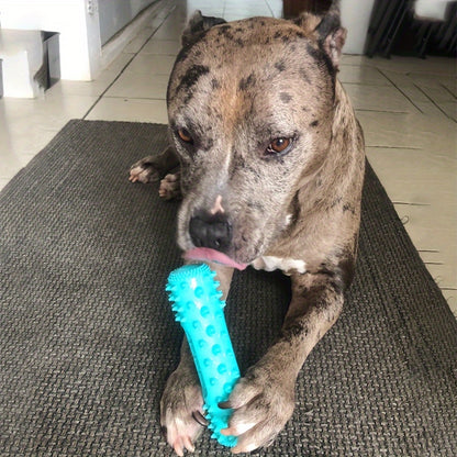 Durable Dog Toothbrush Pet Dog Molar Stick Dog Chew Teeth Cleaning Brush To Keep Dental Health