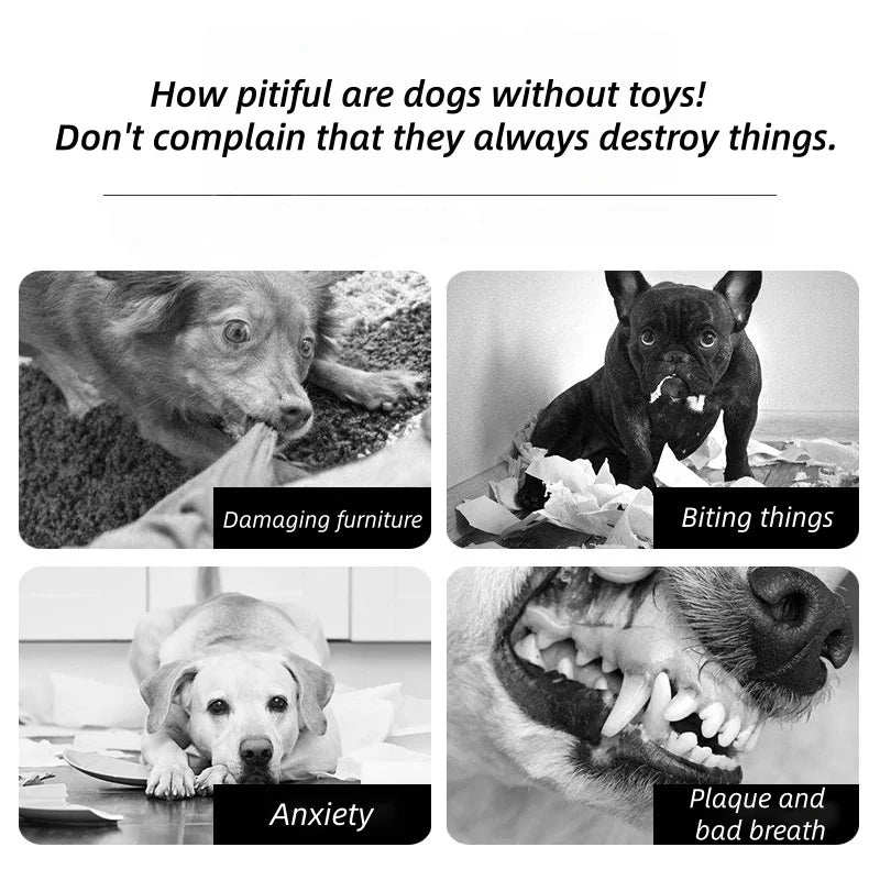 Pet chew sticks, dog chew toys, dental chew sticks for small and large dogs, pet toys