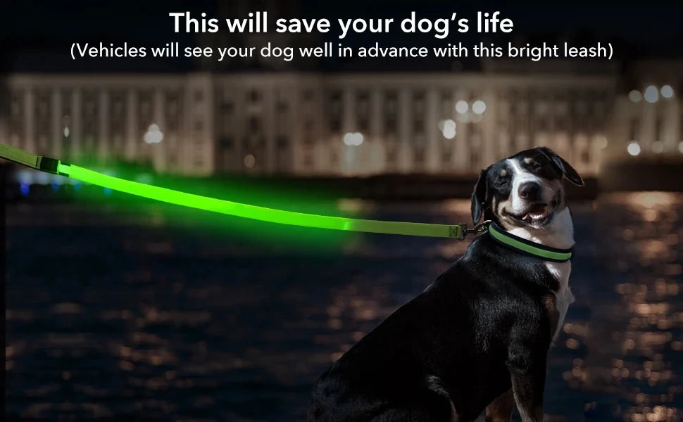 Led Pet Dog Leash Rope With Light Luminous  Lead Leash USB Charging for Dog Safety Flashing Glowing Collar Harness Accessories