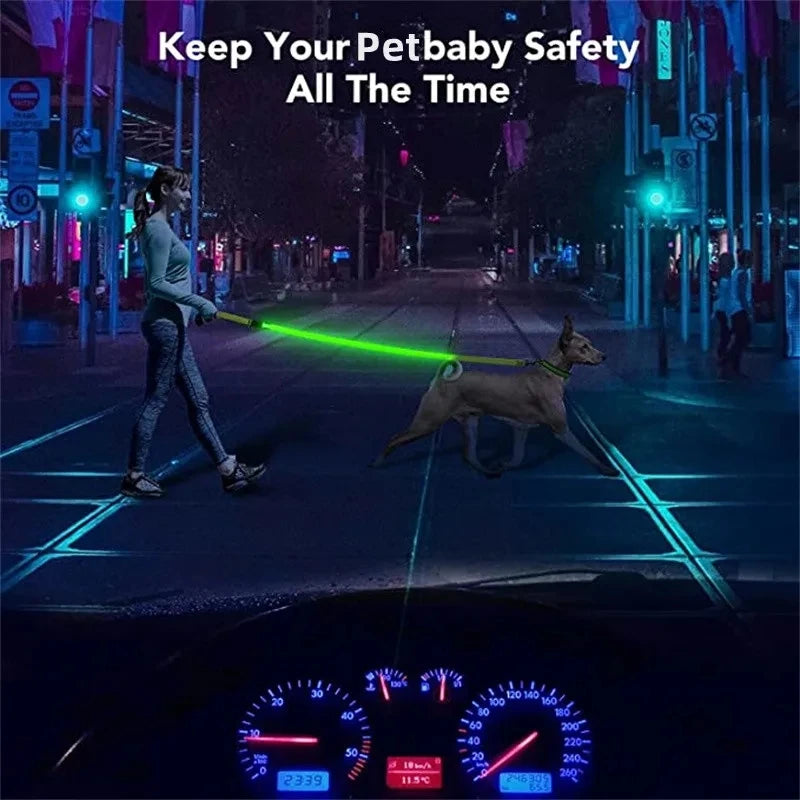 Led Pet Dog Leash Rope With Light Luminous  Lead Leash USB Charging for Dog Safety Flashing Glowing Collar Harness Accessories