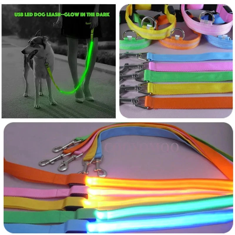 Led Pet Dog Leash Rope With Light Luminous  Lead Leash USB Charging for Dog Safety Flashing Glowing Collar Harness Accessories