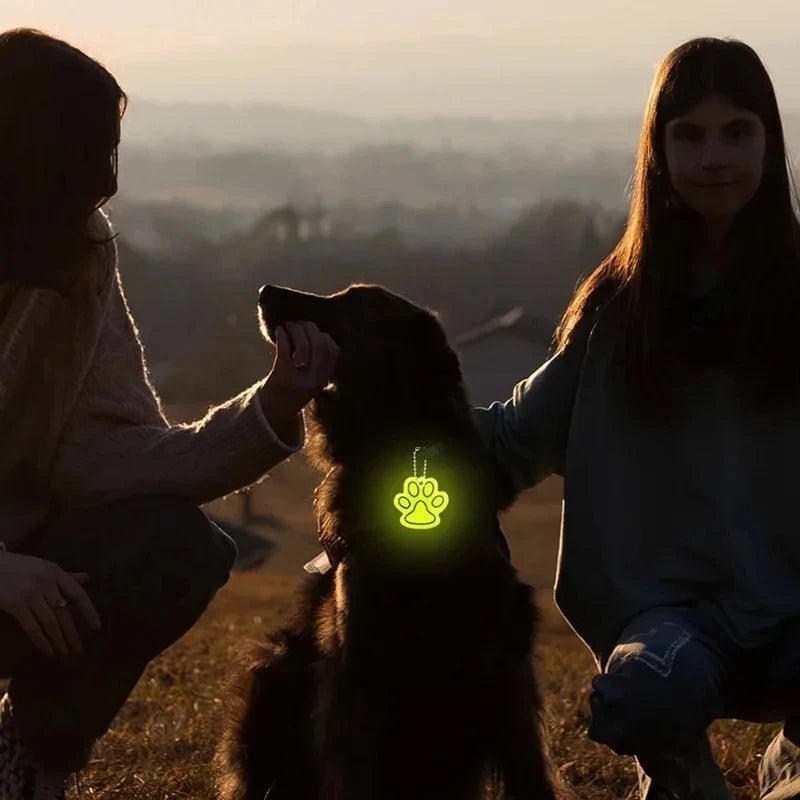 Led Pet Dog Leash Rope With Light Luminous  Lead Leash USB Charging for Dog Safety Flashing Glowing Collar Harness Accessories