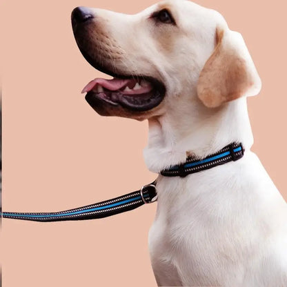 Reflective Dog Collar Adjustable Safety Nylon Pet Collars Sturdy & Durable Suitable for Large,Medium and Small Dogs Pet Supplies