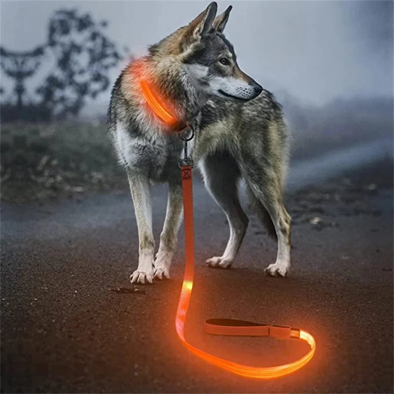 Led Pet Dog Leash Rope With Light Luminous  Lead Leash USB Charging for Dog Safety Flashing Glowing Collar Harness Accessories