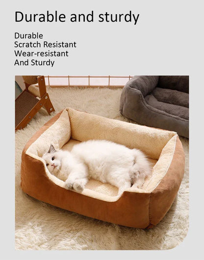 Bed for Cats Pet Products Cushions Kitten Goods Accessories Dog All Houses Supplies Things Accessory Habitats Basket House Beds