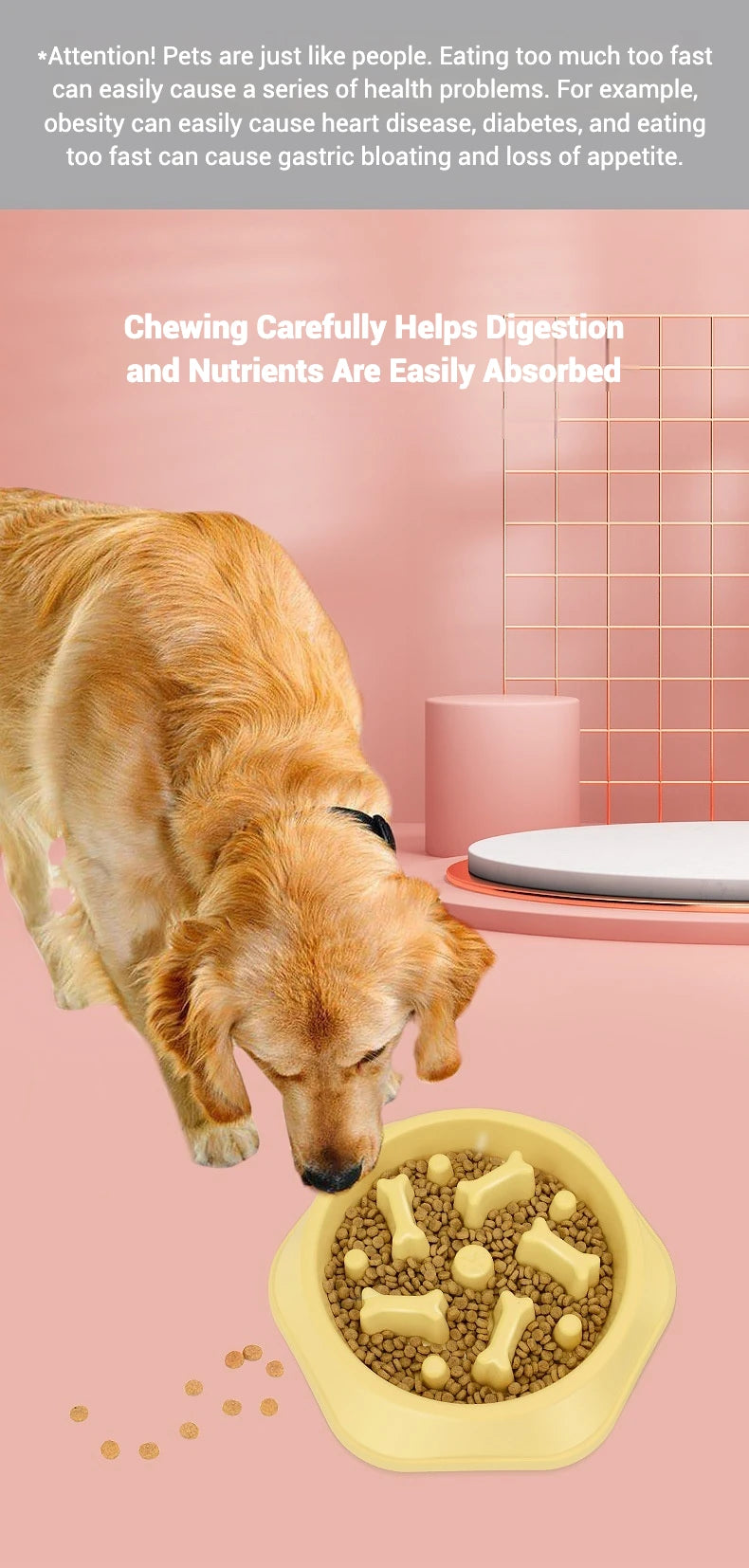 Dog Bowls Slow Feeder 1.5 Cups Slow Feeding Small Medium Breed Puppy Bowl for Fast Eater Dog Dishes to Slow Down Eating Maze
