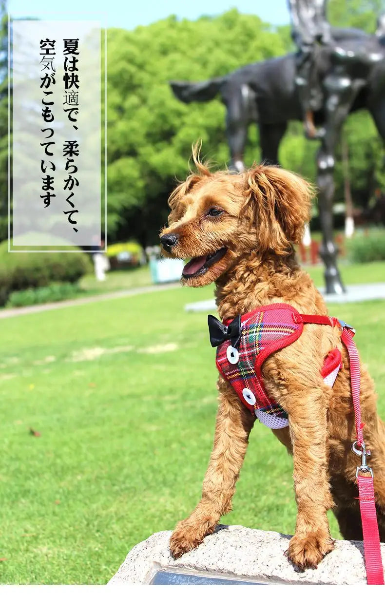Adjustable Pet Harness with Bow Tie Leash Set Stylish Tuxedo Vest for Small Dogs and Cats Harnesses Leads Dog Supplies