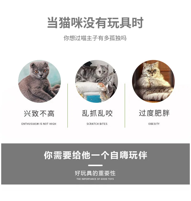 Warm Enclosed Cat Bed Tunnel for Indoor Cats, Four Seasons Thick Plush Kitten House with Play Tube Tunnel Toy