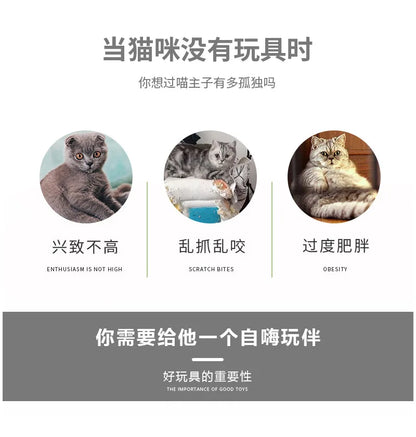 Warm Enclosed Cat Bed Tunnel for Indoor Cats, Four Seasons Thick Plush Kitten House with Play Tube Tunnel Toy