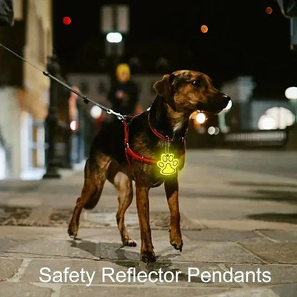 Led Pet Dog Leash Rope With Light Luminous  Lead Leash USB Charging for Dog Safety Flashing Glowing Collar Harness Accessories